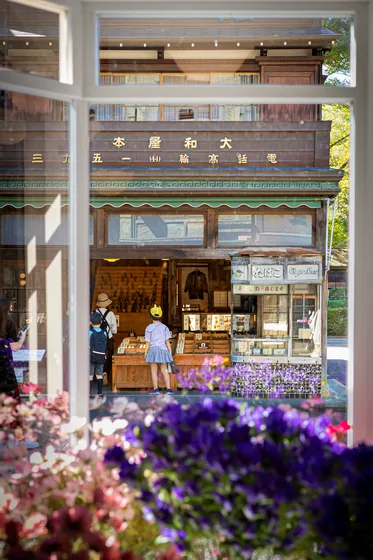 A wooden shopfront and its tobacco kiosk, seen through a window with flowers crowding the glass